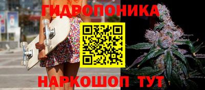 прущие крисы Краснодар