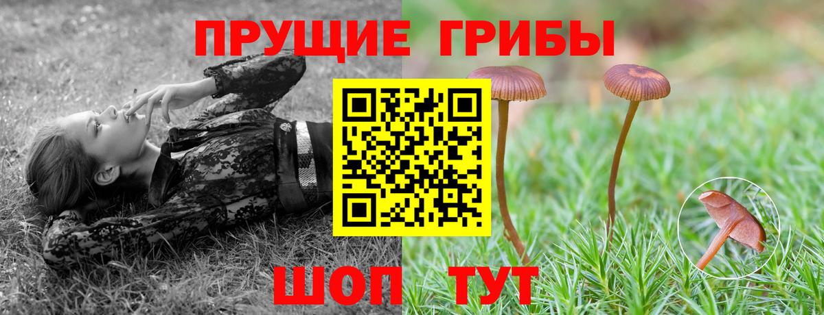 Галлюциногенные грибы Cubensis  Вход с VPN  Калуга  Псилоцибиновые грибы прущие грибы 