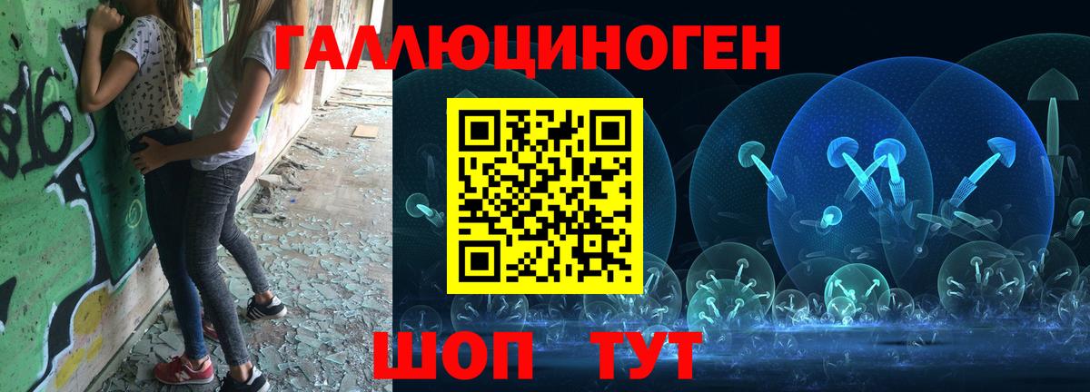 Галлюциногенные грибы Psilocybe Калуга